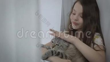 美丽的小女孩轻轻地与你心爱的猫在窗口交流。